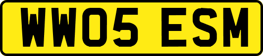 WW05ESM