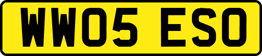 WW05ESO