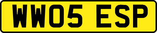 WW05ESP
