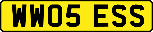 WW05ESS