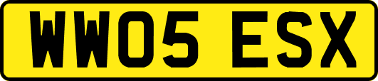 WW05ESX
