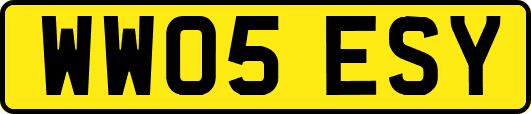 WW05ESY