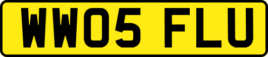 WW05FLU