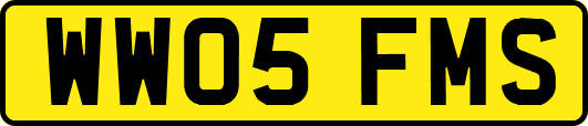 WW05FMS