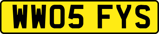 WW05FYS