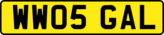 WW05GAL