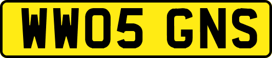 WW05GNS