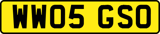 WW05GSO