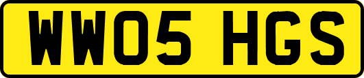 WW05HGS