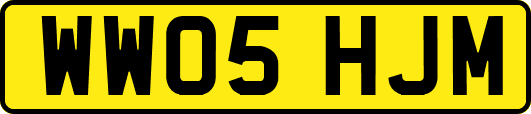 WW05HJM