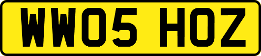 WW05HOZ