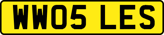 WW05LES