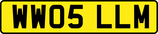 WW05LLM