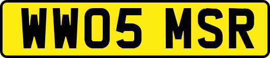 WW05MSR