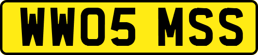 WW05MSS