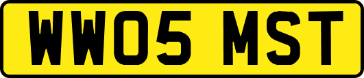 WW05MST