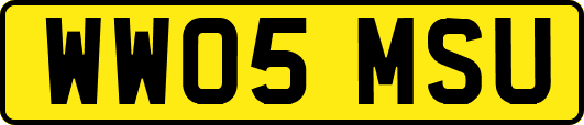 WW05MSU