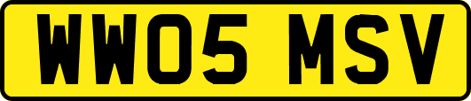 WW05MSV