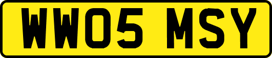 WW05MSY