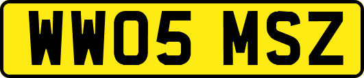 WW05MSZ
