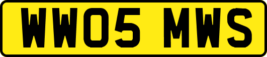 WW05MWS