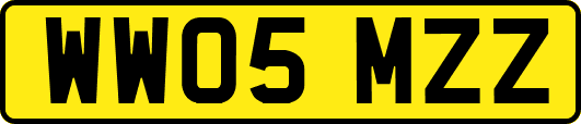 WW05MZZ