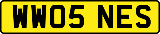 WW05NES