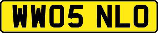 WW05NLO
