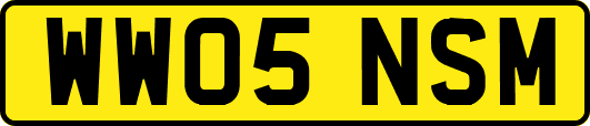 WW05NSM