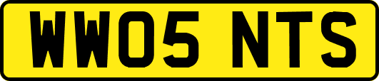WW05NTS