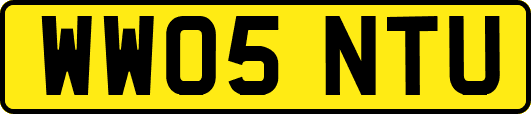 WW05NTU