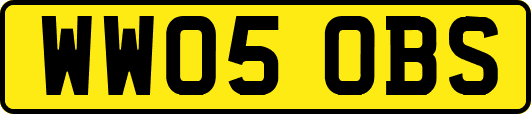 WW05OBS