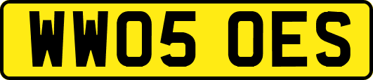 WW05OES