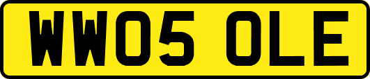 WW05OLE