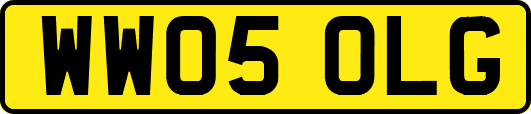 WW05OLG