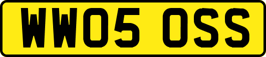WW05OSS