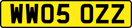 WW05OZZ