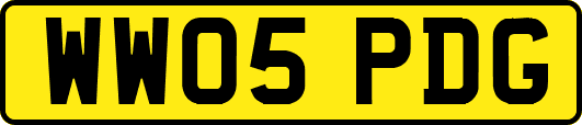 WW05PDG