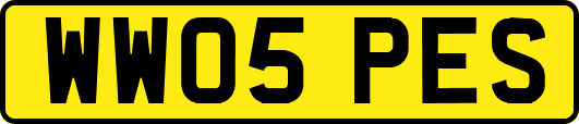WW05PES