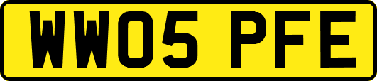 WW05PFE