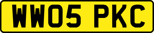 WW05PKC