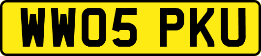 WW05PKU