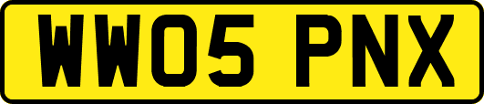 WW05PNX