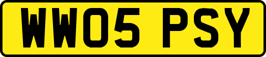 WW05PSY