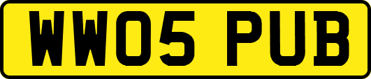 WW05PUB