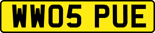 WW05PUE