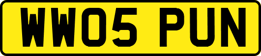 WW05PUN