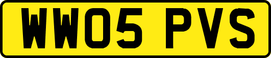 WW05PVS