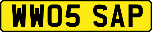WW05SAP