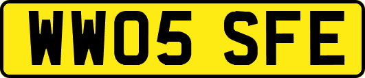 WW05SFE